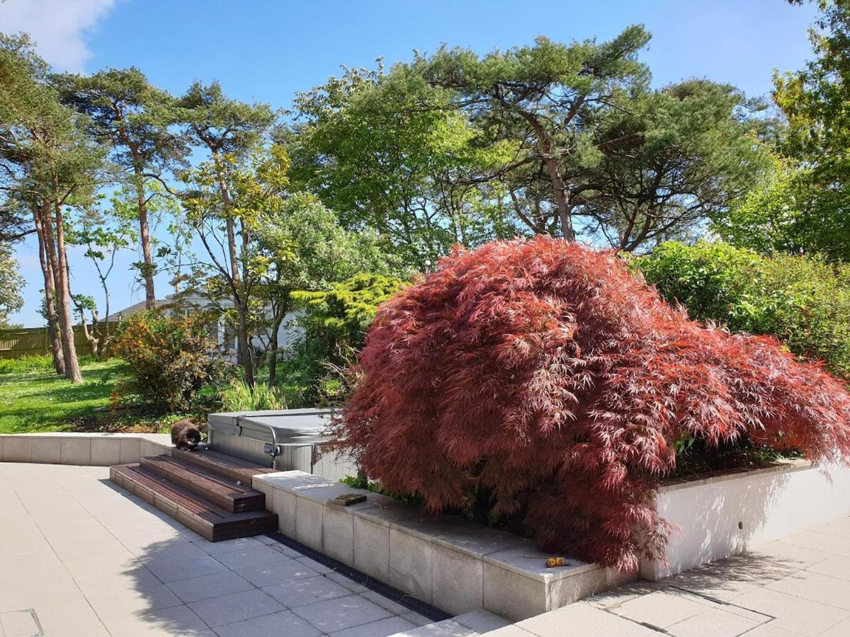 Tranquil & Unique Villa On The Uk'S Sunniest Place Ratton Eksteriør bilde